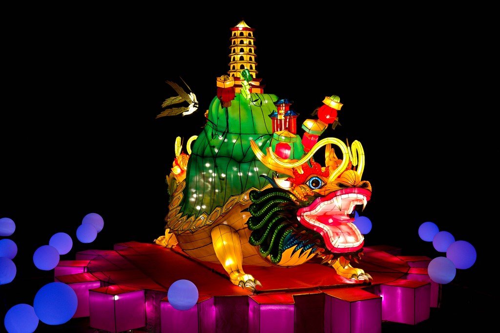 china light licht festival lichtshow show festiviteit glow evenement event chinees chinese verlichting draak dragon lichtfestival zoo